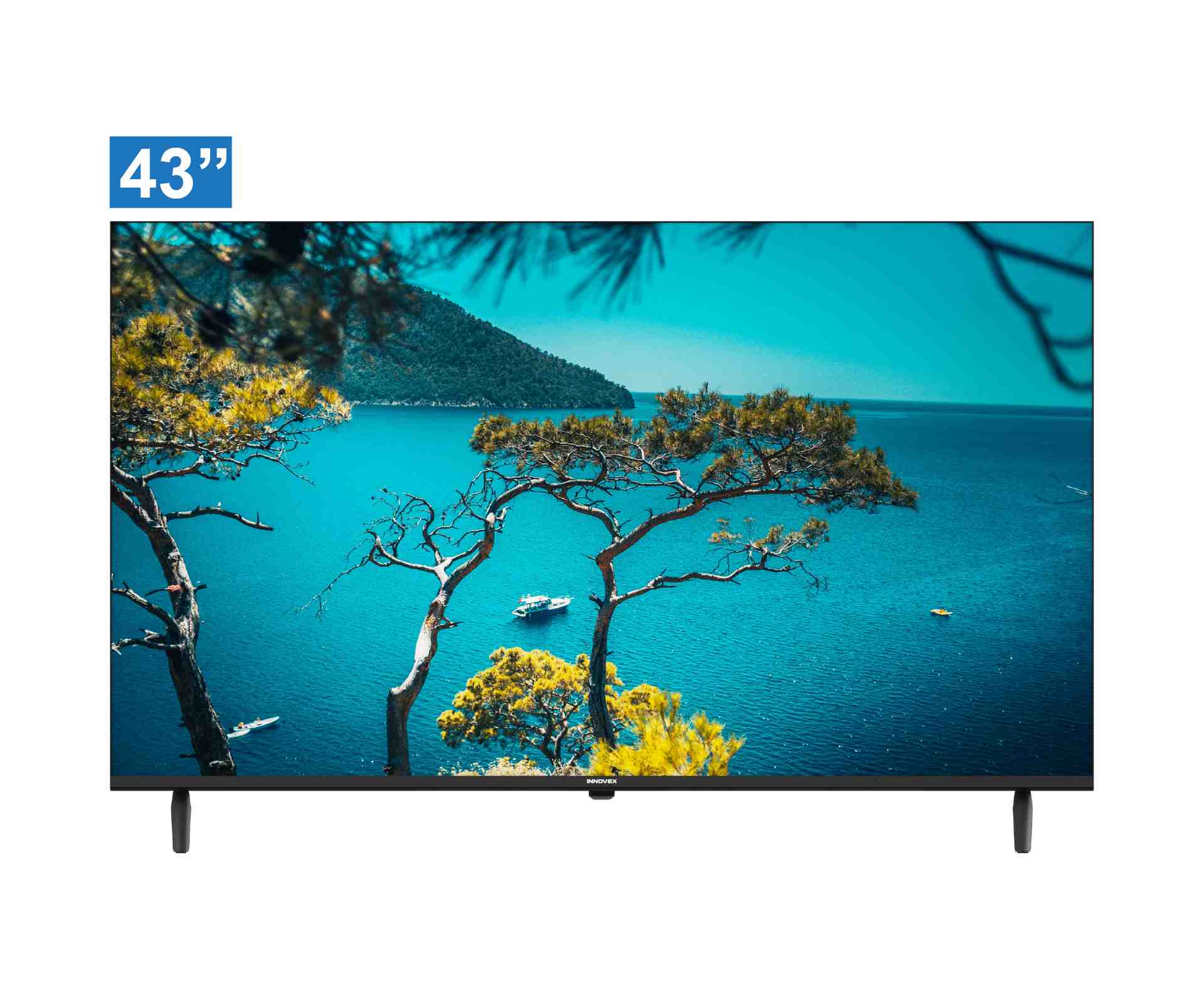 43 LED FHD TV - Televisions